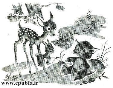 قصه کودکانه کرهاسب کوچولوی بامزه - محصول ایپابفا - ارشیو قصه و داستان کودکانه